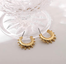 Load image into Gallery viewer, Dani Earrings
